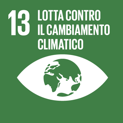 Obiettivo 13: Promuovere azioni, a tutti i livelli, per combattere il cambiamento climatico